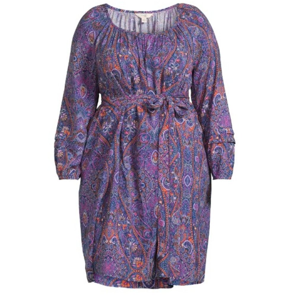 Terra & Sky Women's Plus Size Shirred Mini Dress